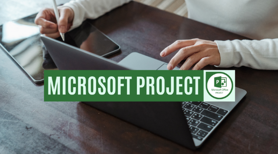 Microsoft Project 101 & 102