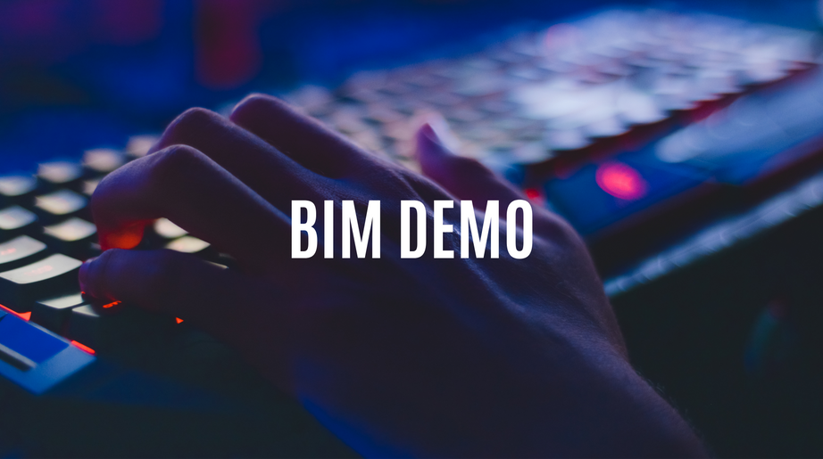 BIM Demo