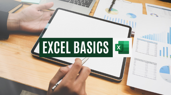 Microsoft Excel Basics