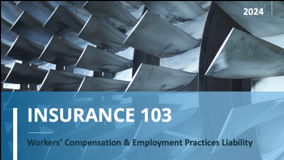 Insurance 103: Workers Compensation & Employment…