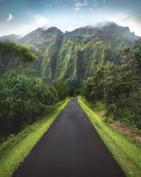 Emerald Woods Car Diffuser