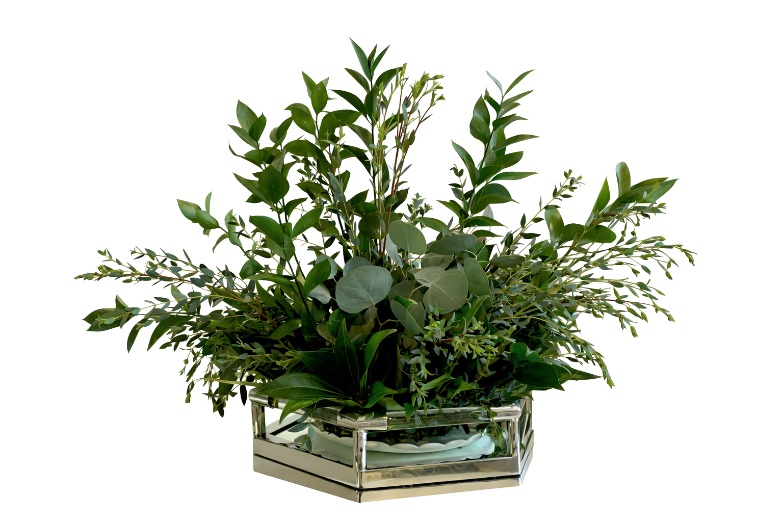 A lush green indoor plant arranged in a decorative silver metallic square container.