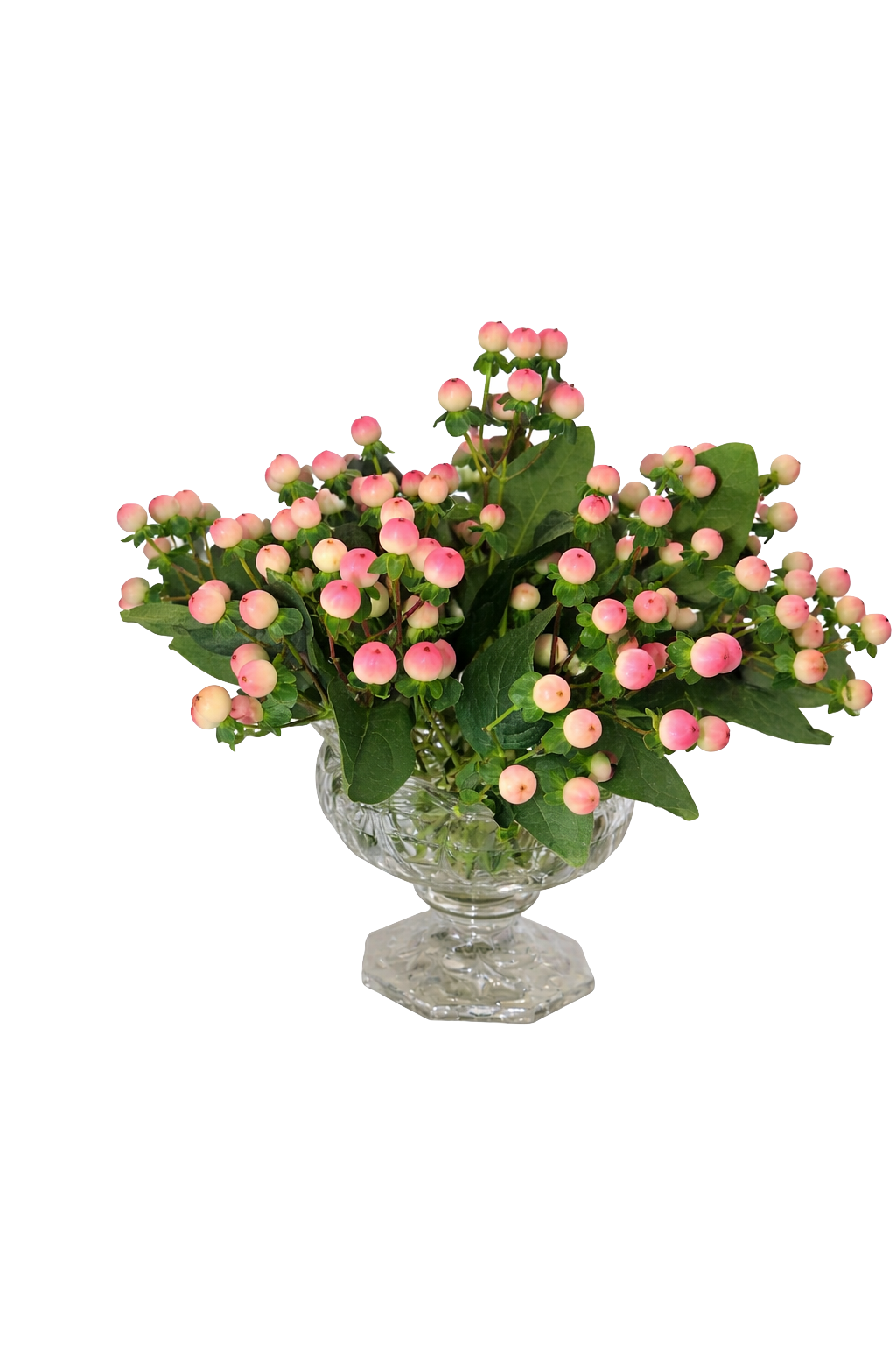 ChatGPT Image Feb 17, 2026, 08_34_59 PM.png