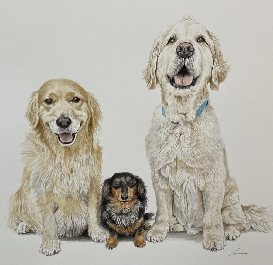 Commission, watercolor