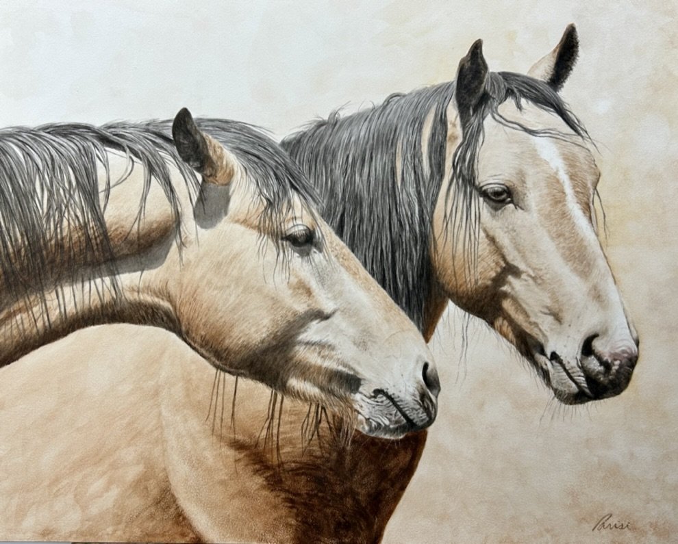 dyad 14 x 18 watercolor.jpeg