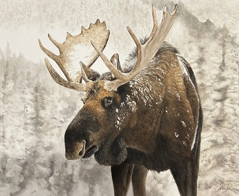 snowbound 11 x 14 watercolor.jpeg