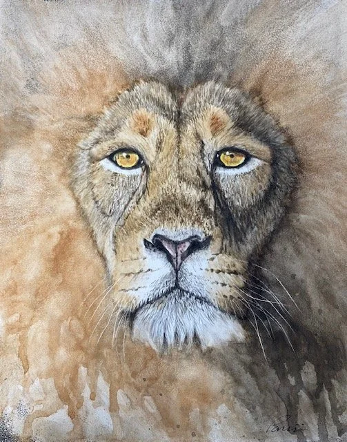 lion watercolor.jpeg