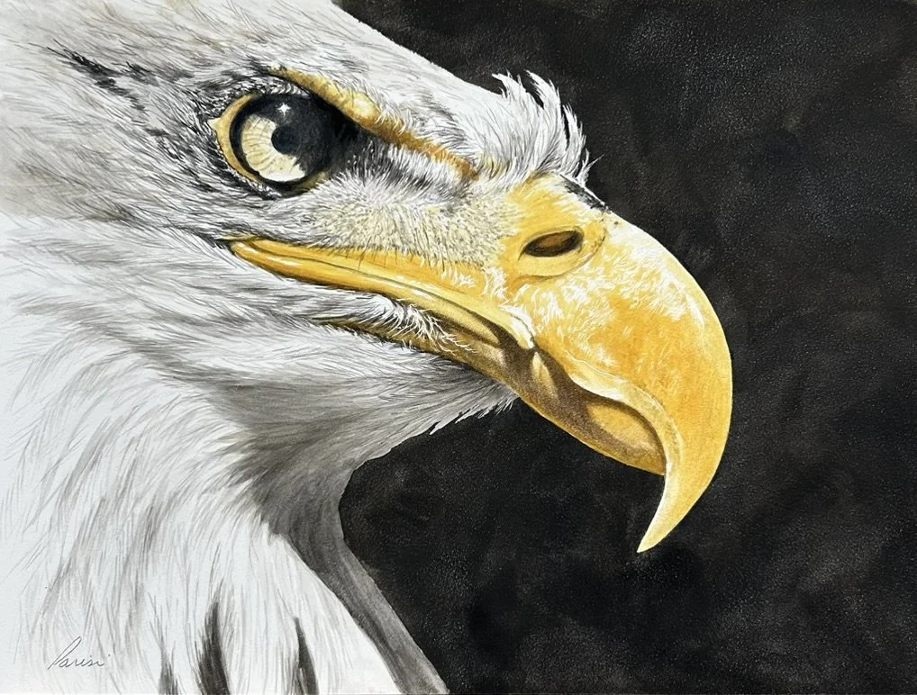 look out watercolor.jpeg