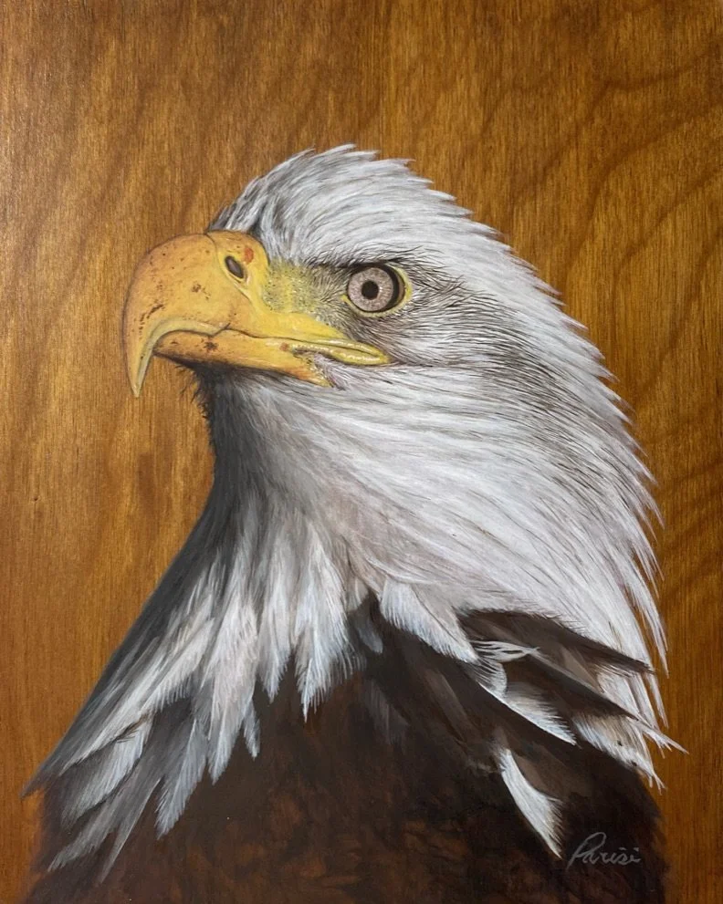 Eagle Eye, Oil, 7_x 9_, Framed, $1,400.00 .jpeg