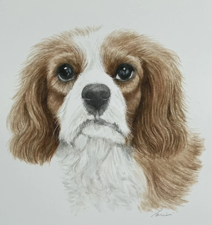 Commission, watercolor