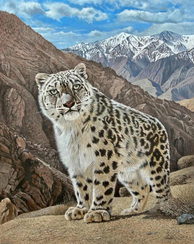 snow leopard no frame.jpeg