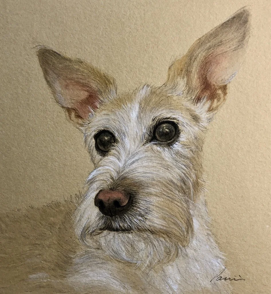 Commission, watercolor