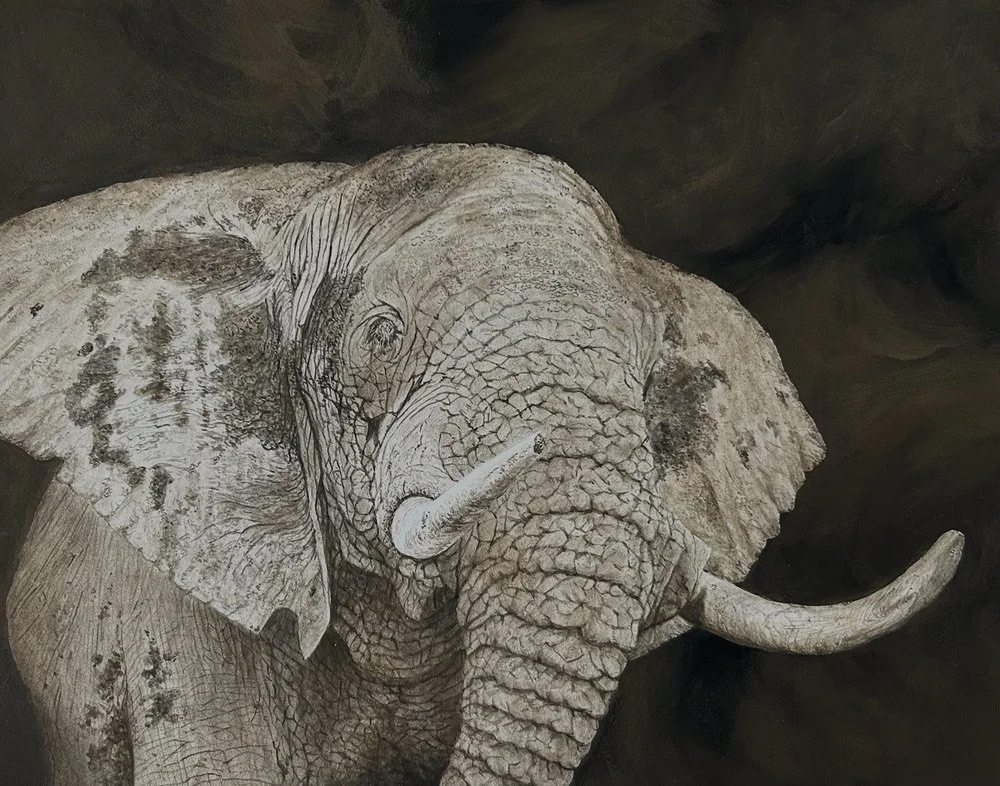 bull elephant watercolor.jpeg