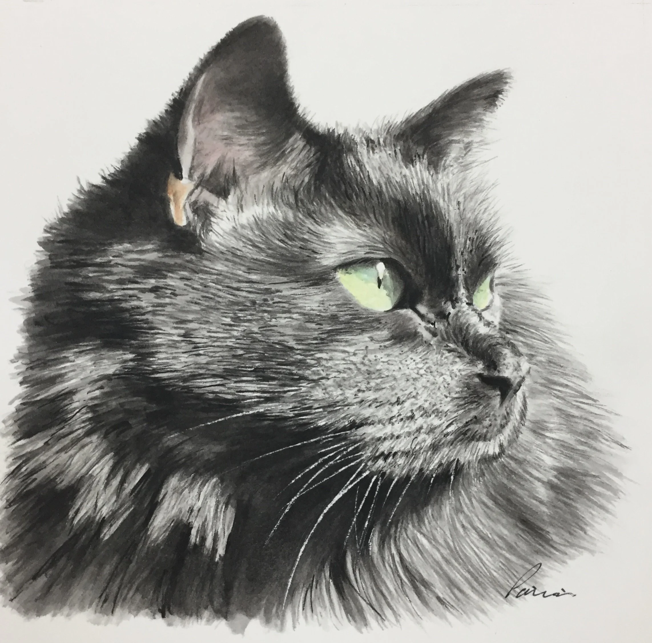 Commission, watercolor