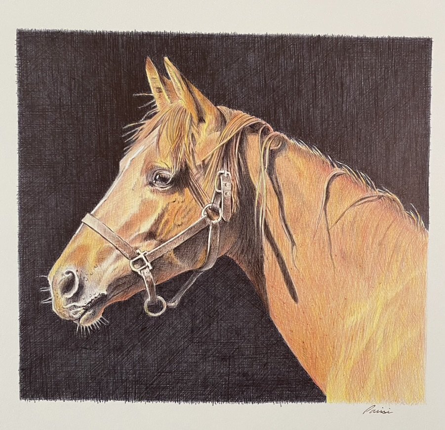 Sunshine, Ballpoint, 8-1_2_ x9-1_2_, Framed, $900.00.jpeg