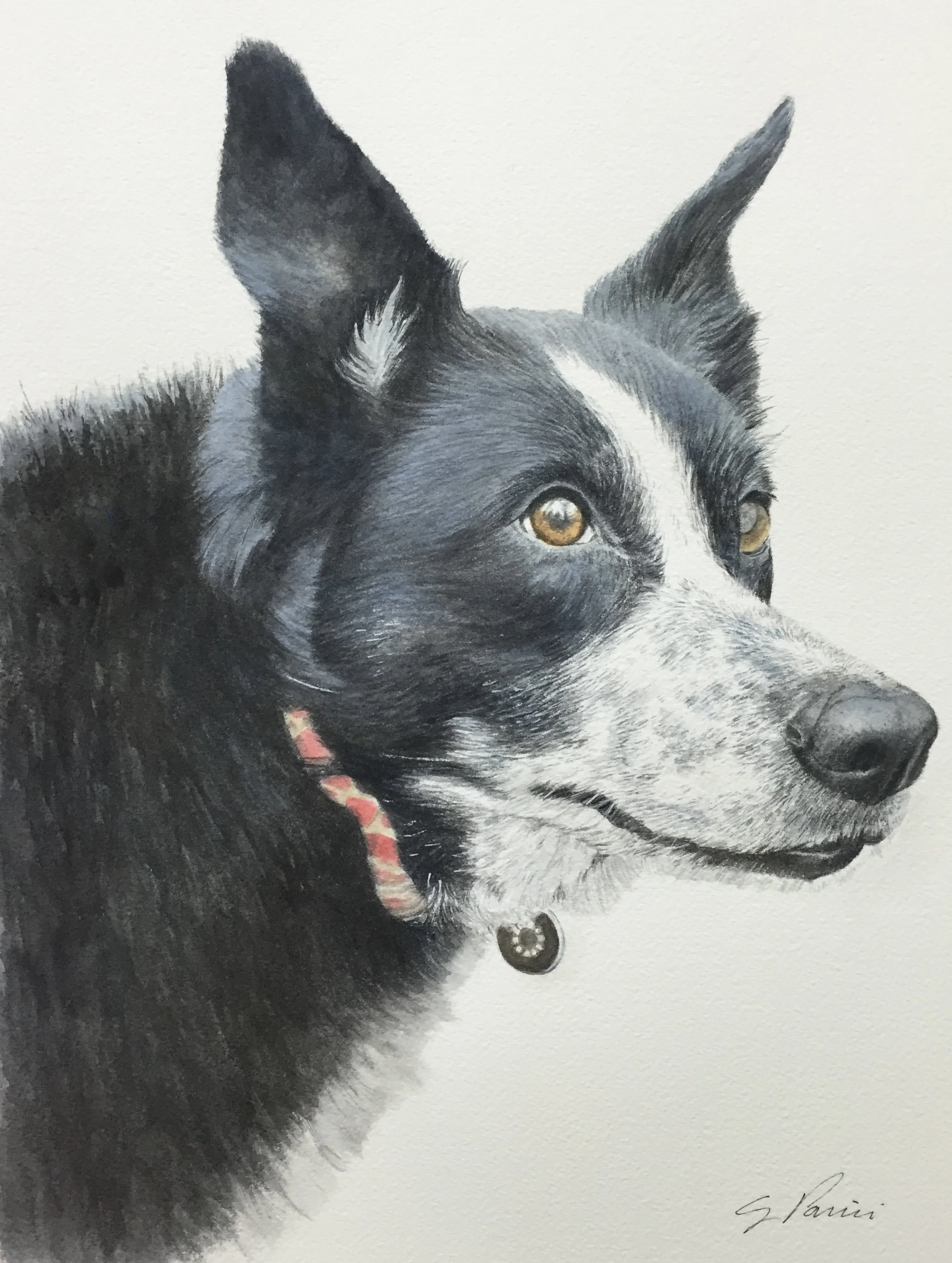 Commission, watercolor