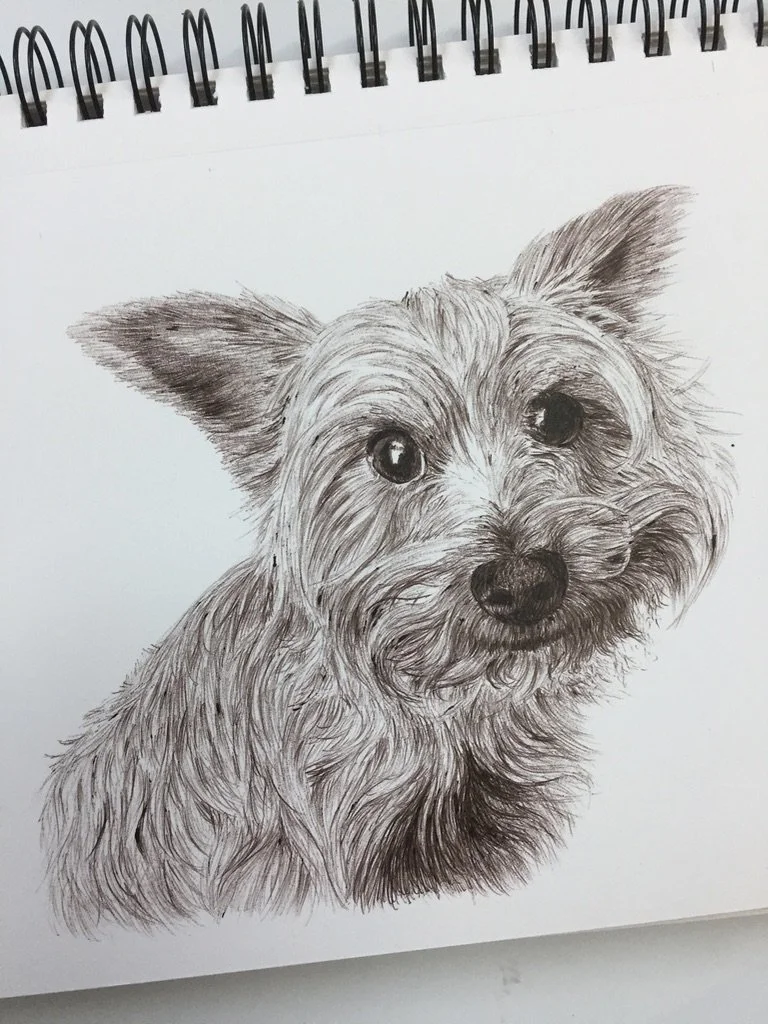 george baily ballpoint sketch.jpeg