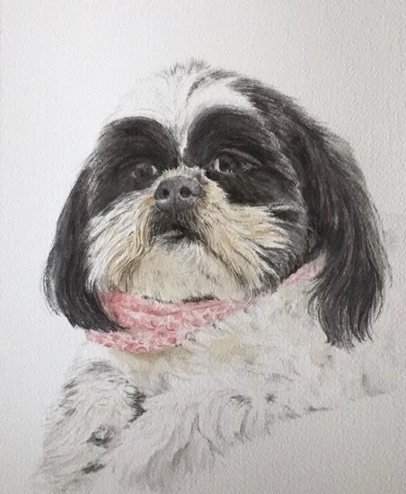 Commission, watercolor