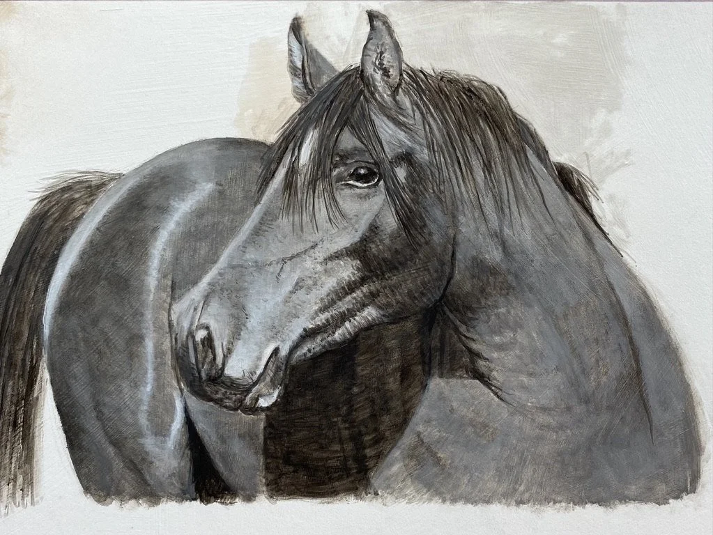 Horse Study