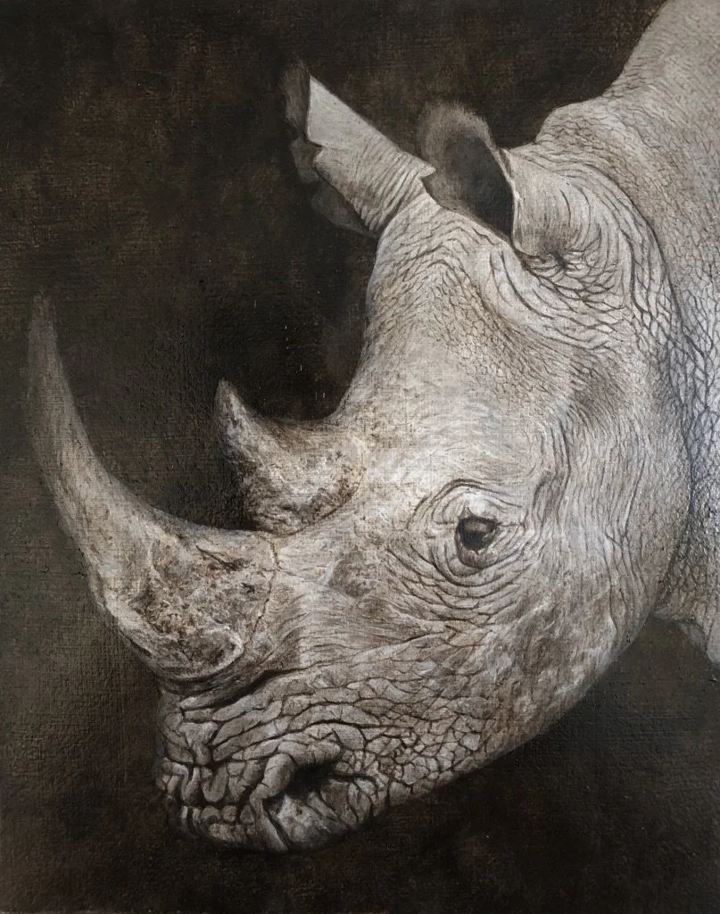 White Rhino, Oil, 8_ x10_, Framed, $1,200.00 .jpeg