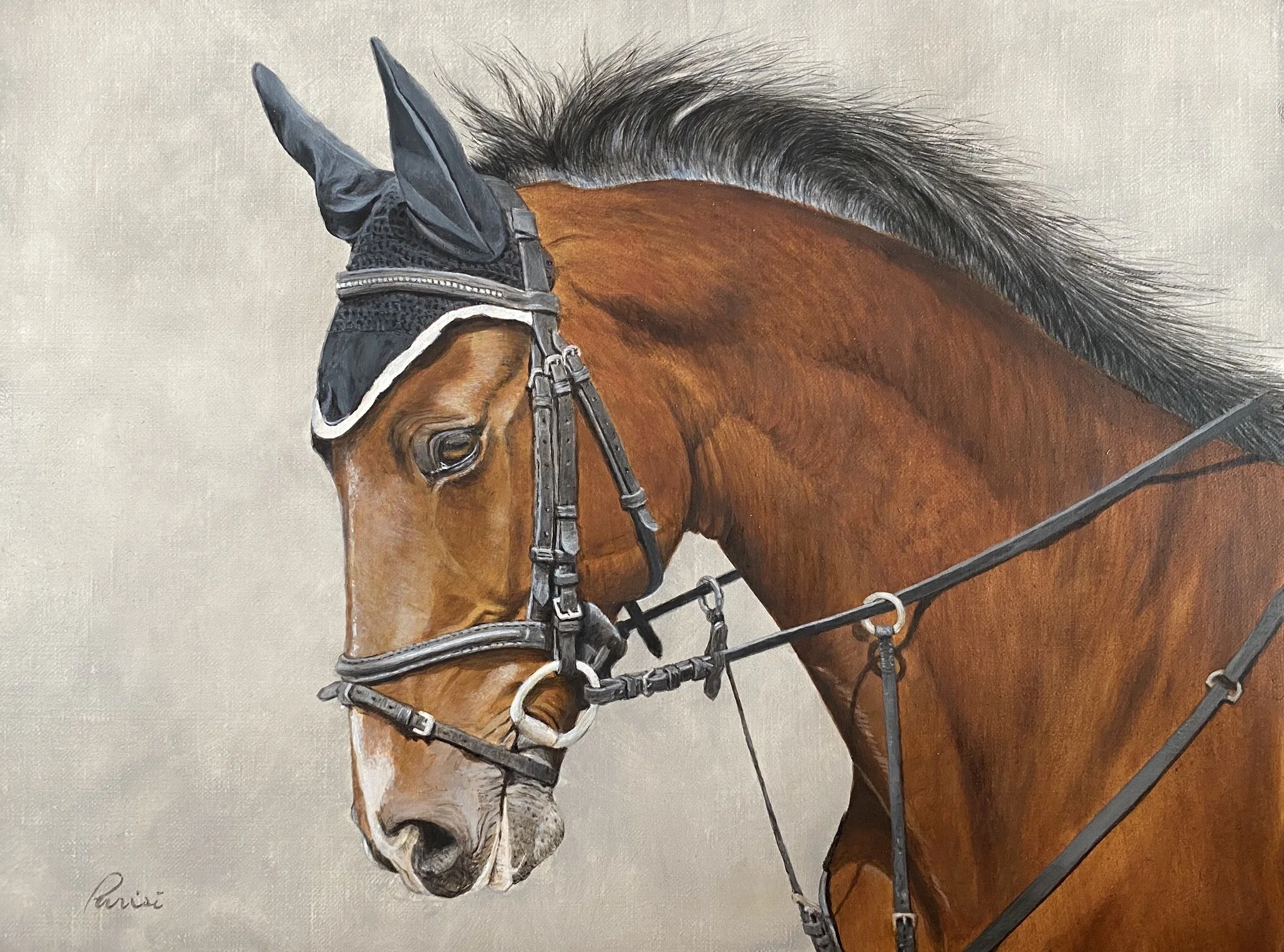 equestrian 9 x 12 commission oil.jpeg