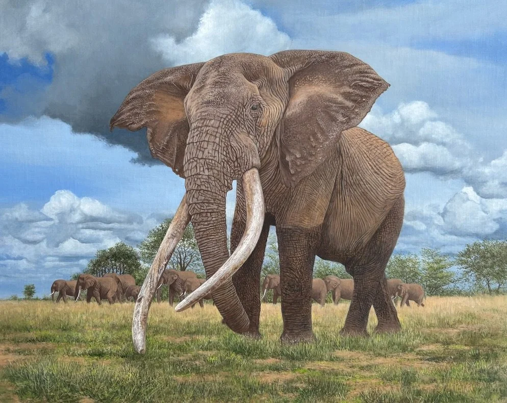 patriarch 16 x 20 oil.jpeg