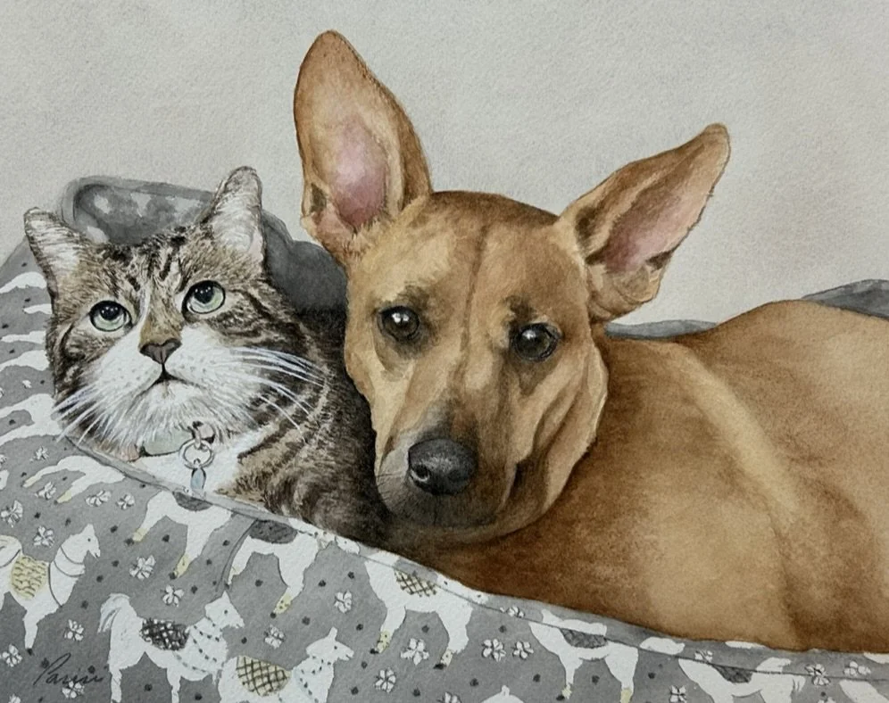 Commission, watercolor
