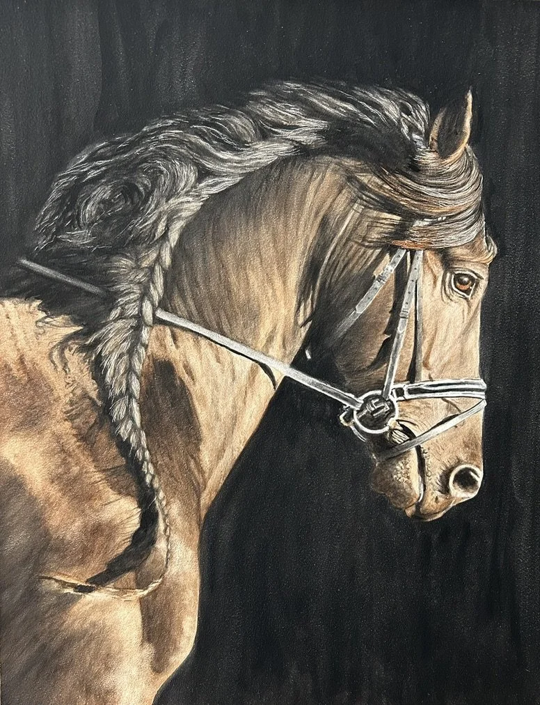 knight watercolor.jpeg