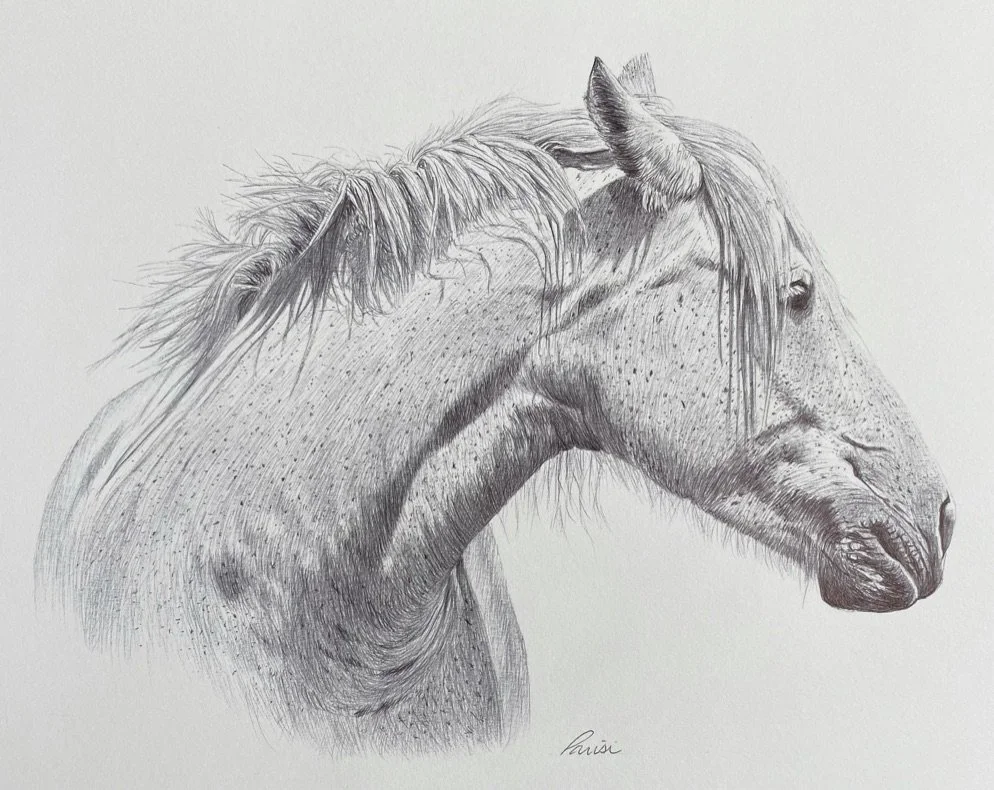 8 x 10 pen drawing.jpeg