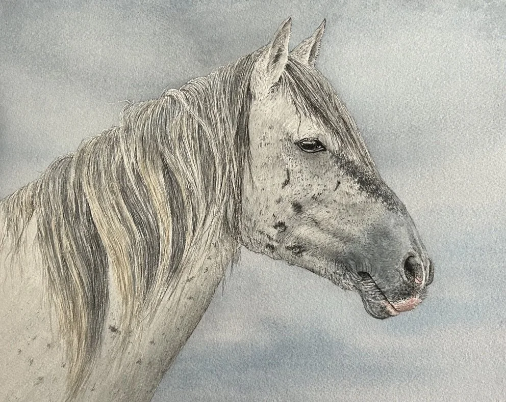 Commission, watercolor