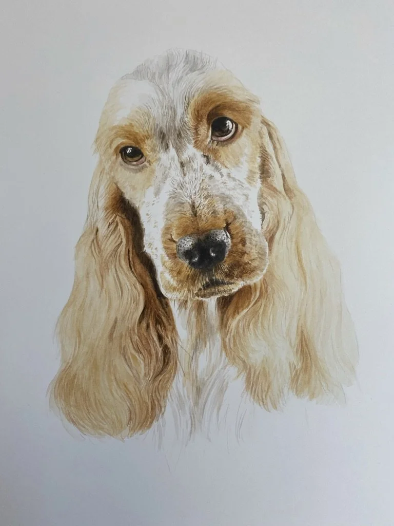 Commission, watercolor