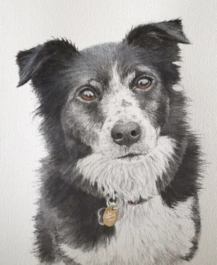 Commission, watercolor