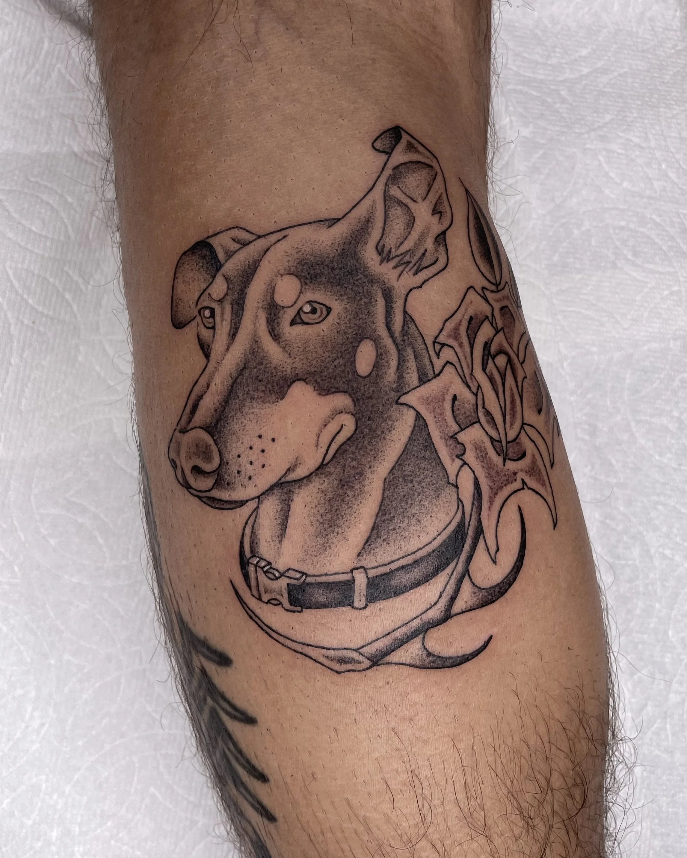 fineline black and grey pet portrait tattoo