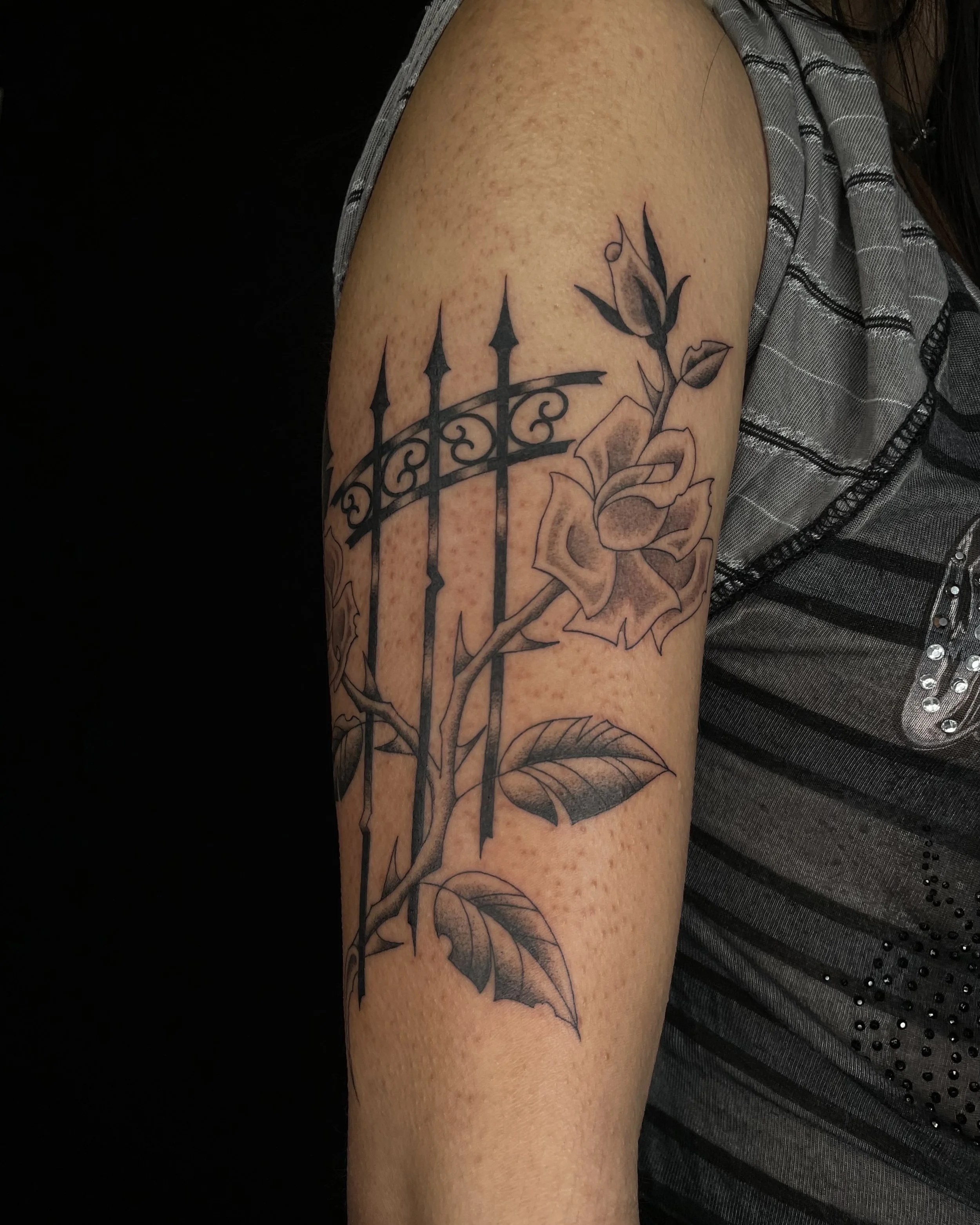 metalwork fence and rose