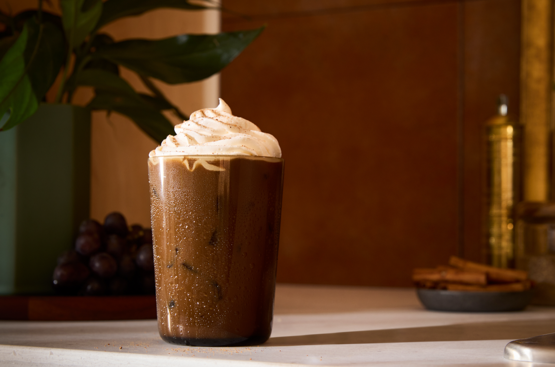 A glass of iced coffee topped with whipped cream and a dusting of cocoa powder, on a light-colored surface with a dark background and various plants and objects in the background.