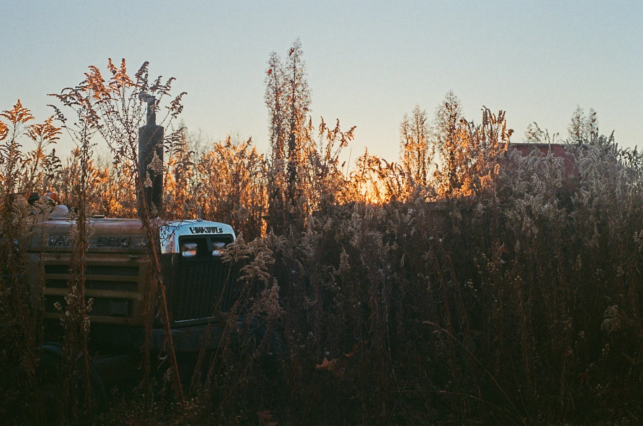 A rural scene during sunset with tall dried grasses and shrubs in the foreground, and a glimpse of a truck partially obscured among the vegetation, with a clear sky in the background.