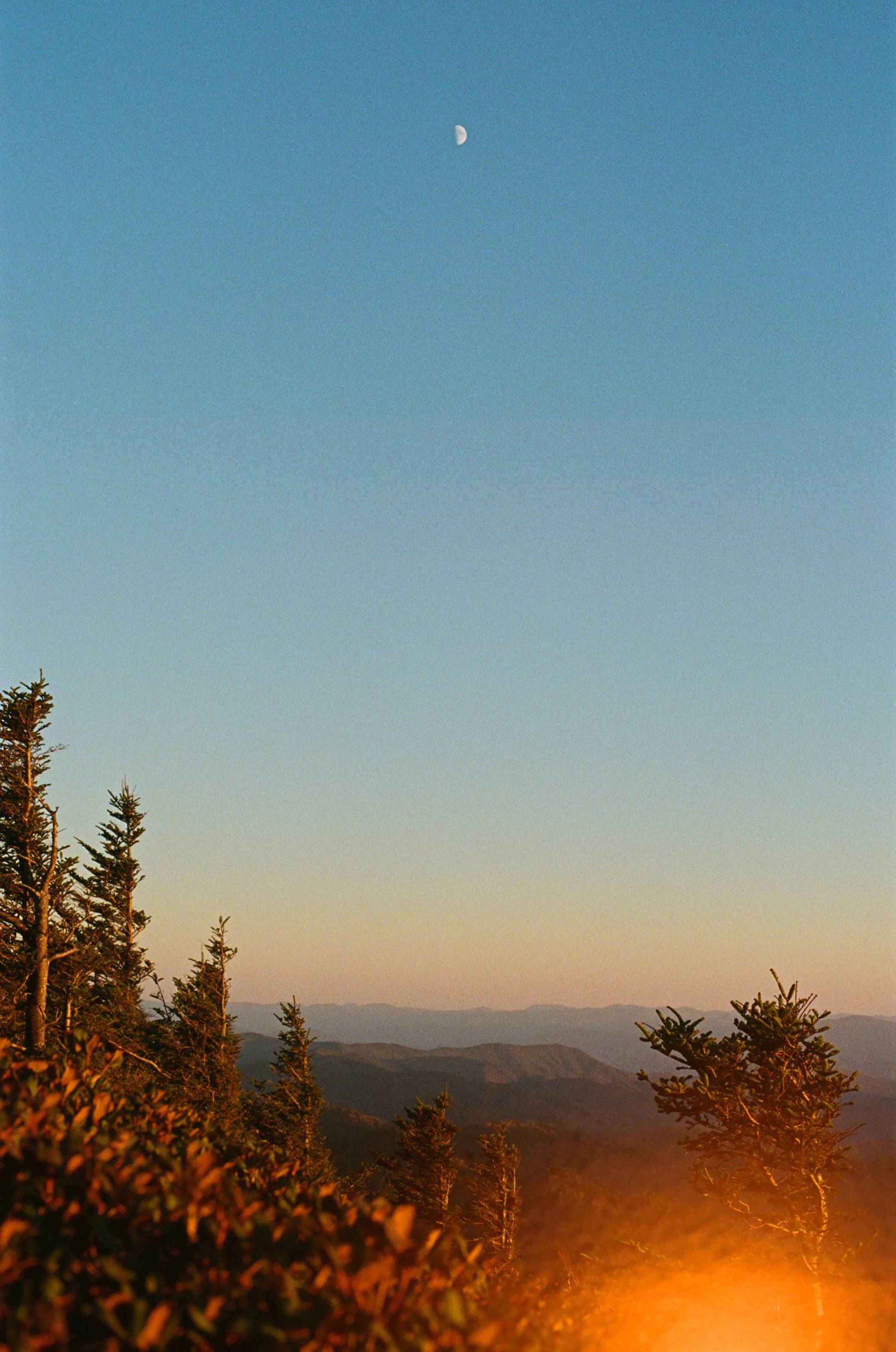 Landscape view of a forested mountain range at sunset with a clear blue sky and a visible moon.