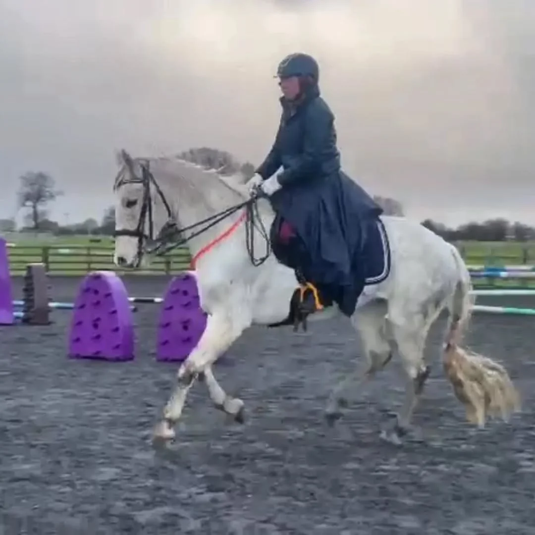 Can we talk about the tricky ones?

The ones that have you querying EVERYTHING at 3am.
Am I good enough? Am I using the right methods? Am I giving this enough time? Too much time? Do I need a vet/physio/dentist/counsellor?
Are we just the wrong match