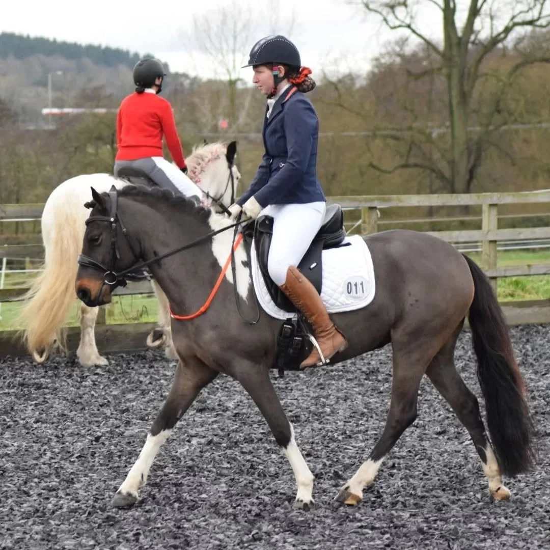 Twiglet - 2025 round up...

Had to be done. This pony has just kept on amazing me all year. At the beginning of the year he'd done nothing... been to a clinic where he barely made it around the arena in both directions?

He then threw a spanner in th