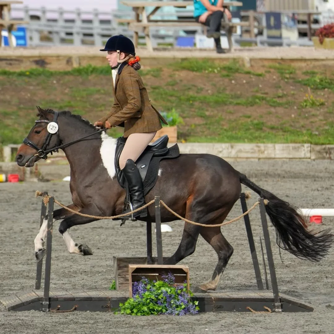 Looking to try something different in the New Year? Or kick start your competition season?

Bookings being taken NOW for 2026 #workingequitation clinics &amp; demos! 🤩

Whether you run a riding club/pony club, are a venue owner, camp organiser or si
