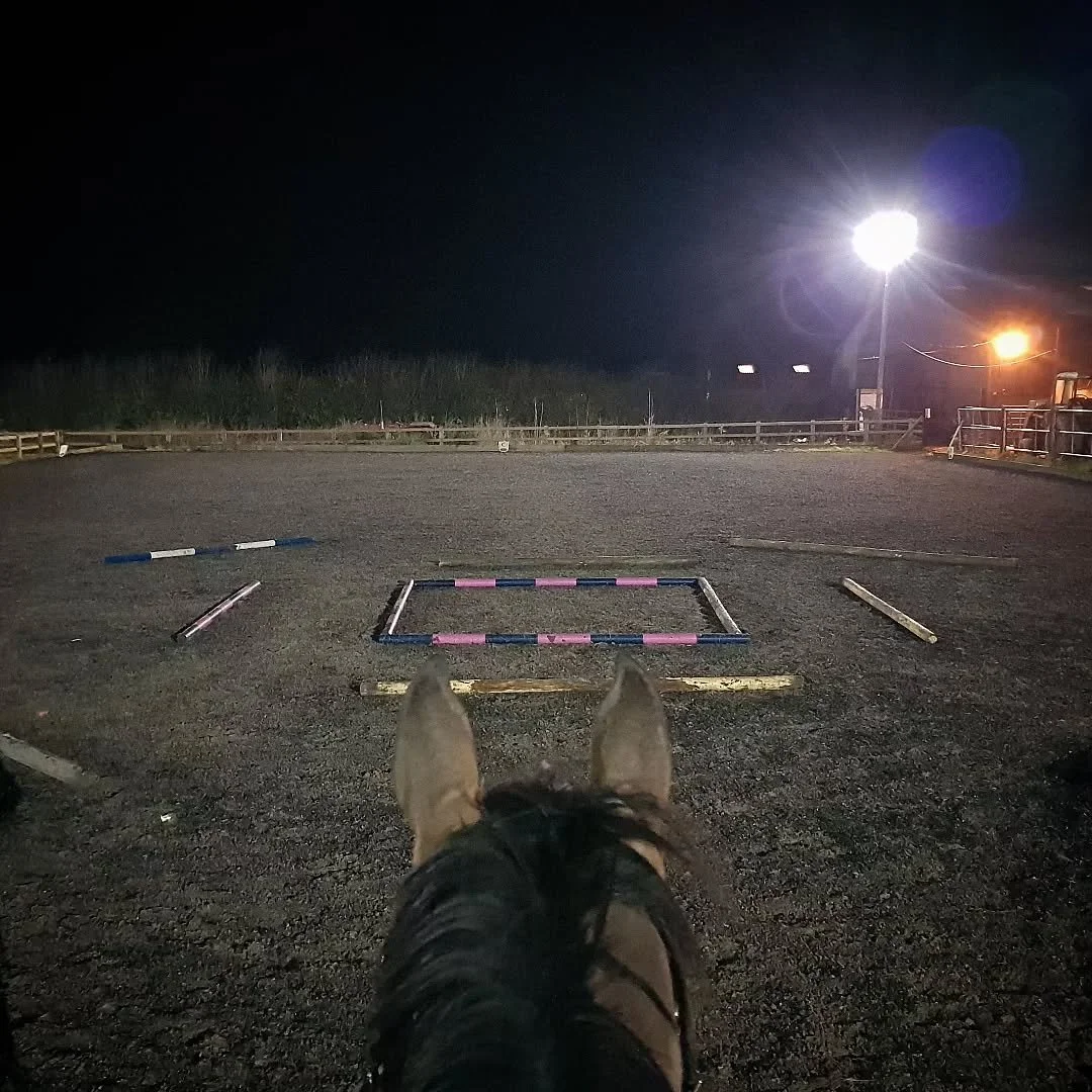 My thoughts on that love/hate subject... polework!

For me, polework is about allowing the horse to find the way to do the job. This doesn't mean leaving them utterly to their own devices, but it does mean minimal interference.
Try as you might, the 