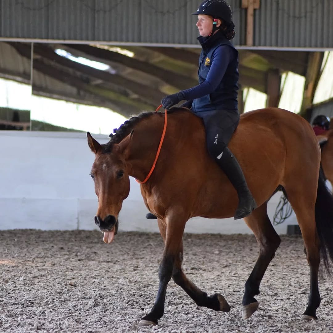 What interests me as a trainer/coach? 🤔
(Not a complete list. Just a brief overview!)

What you want to achieve. What worries you. What worries your horse. How your horse moves. What you need your horse to achieve. Ethics. Thought processes  Emotion
