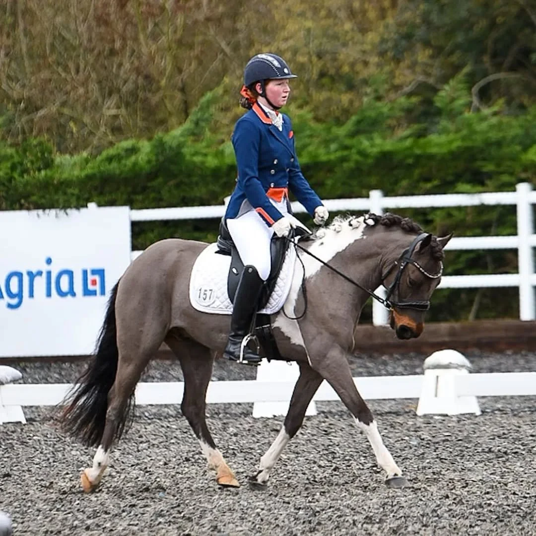 Another year, another Area Festival done &amp; dusted!

Not one to write home about, lack of prep certainly showed 😅 Not having any outings for over 8 weeks was a choice... Twig isn't spooky but he was much more keen to be sight seeing (Solihull has