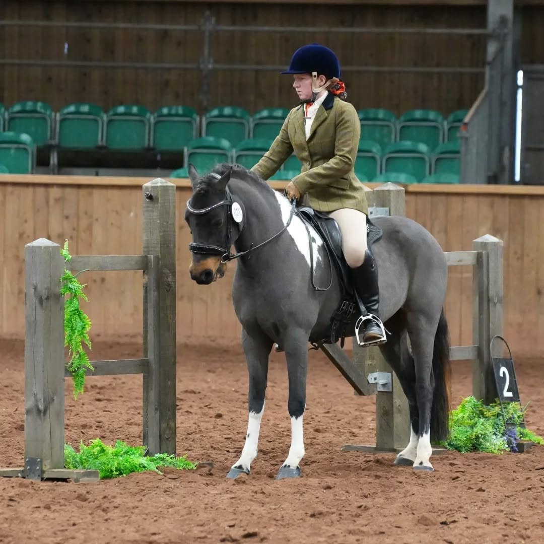 Next #workingequitation clinic with me at Hadley Park, Whitchurch, 22nd Feb!
💥 Spaces available! 💥

🔸️Ridden or in-hand
🔸️Private, pairs or groups of 3 (get your friends together then enjoy a cuppa at the cafe after!)
🔸️All levels &amp; abilitie
