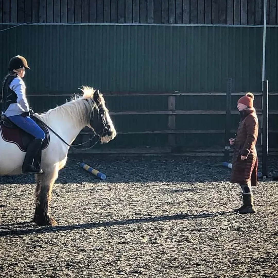 Do you want to simply enjoy your horse more?
Do you maybe know someone else who loves their horse, but is struggling to find the relationship they want with them?

I want to help 🧡

I love helping everyone.
But I really love helping those people who
