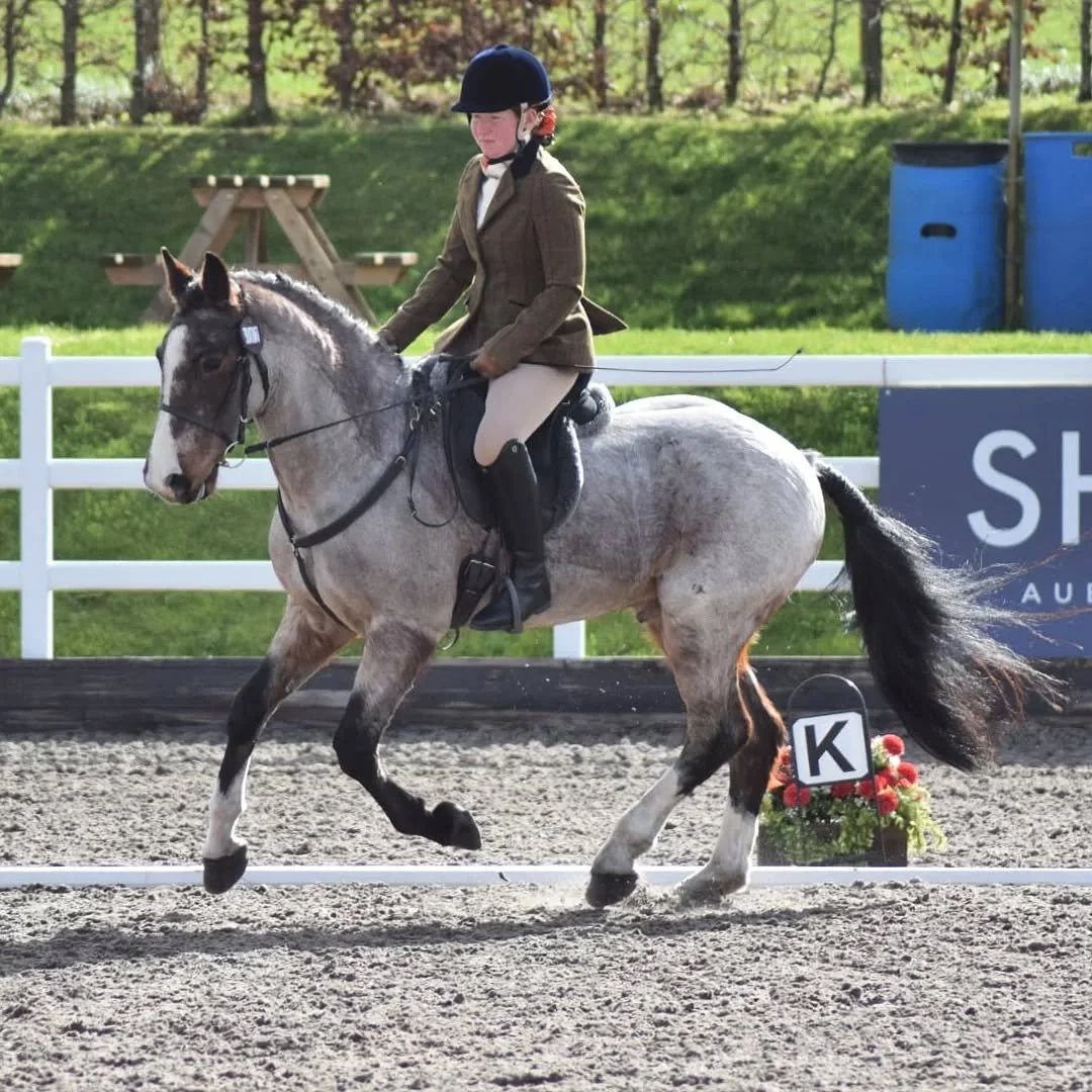 Just a handful of photos from our wonderful weekend at Kelsall 🤩
Scroll to the end for super competitive Twig gallop-y pics... I used to think he would never be that fast, I'm willing to believe I'm wrong, he loves a speed round! (Note his grumpy fa