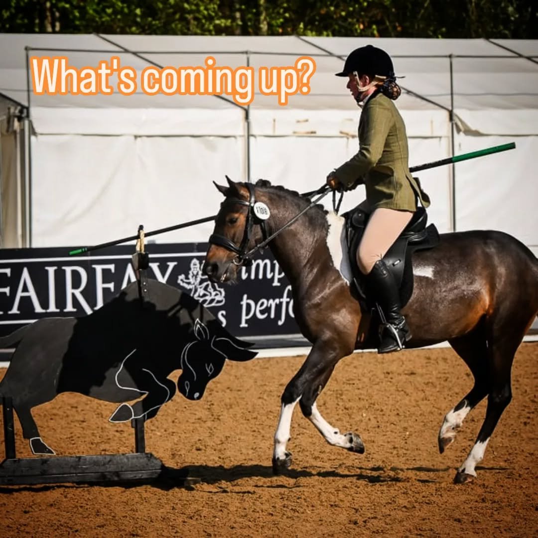 18th April - Ludlow Riding Club, Aston Munslow
19th April - Edge Stables (New Hall Farm), Church Stretton
25/26th April I'm away competing at Pickering Grange

3rd May - Hinstock, nr Market Drayton
9th May - Four Crosses, Welshpool
10th May - Ludlow 