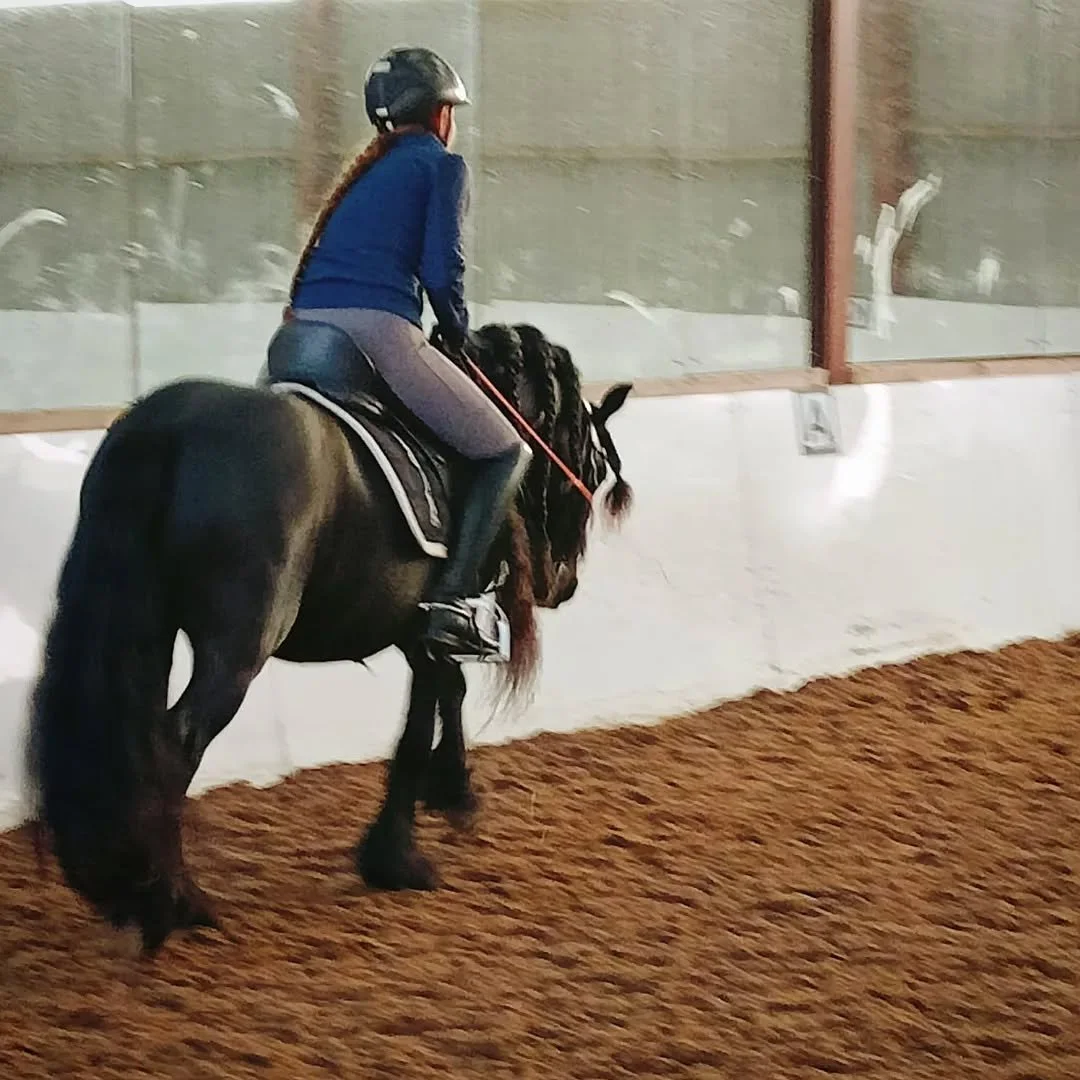 Everyone is out there hunting for the right method.
We are plagued now with adverts for this method or that method, like training a horse can be dialed down to a step-by-step process.
Tick these boxes, &amp; all will be good!

And yes, I completely a