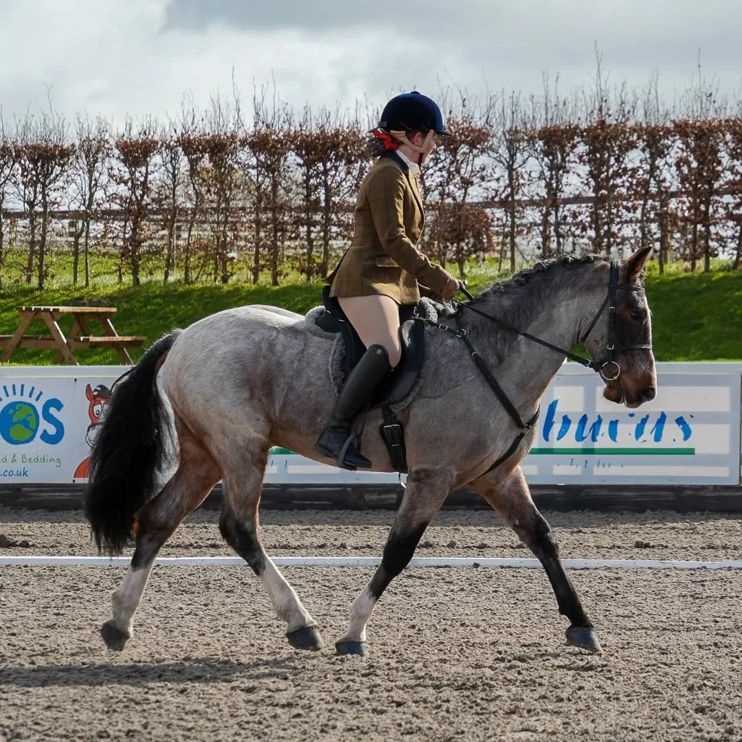 Couldn't resist some more photos of the gorgeous Bilbo from Kelsall ABWE Regional at the start of the season!
Thank you @happyhoofpics for the wonderful photos as always, especially given that the weather was less than ideal all weekend!

#workingequ