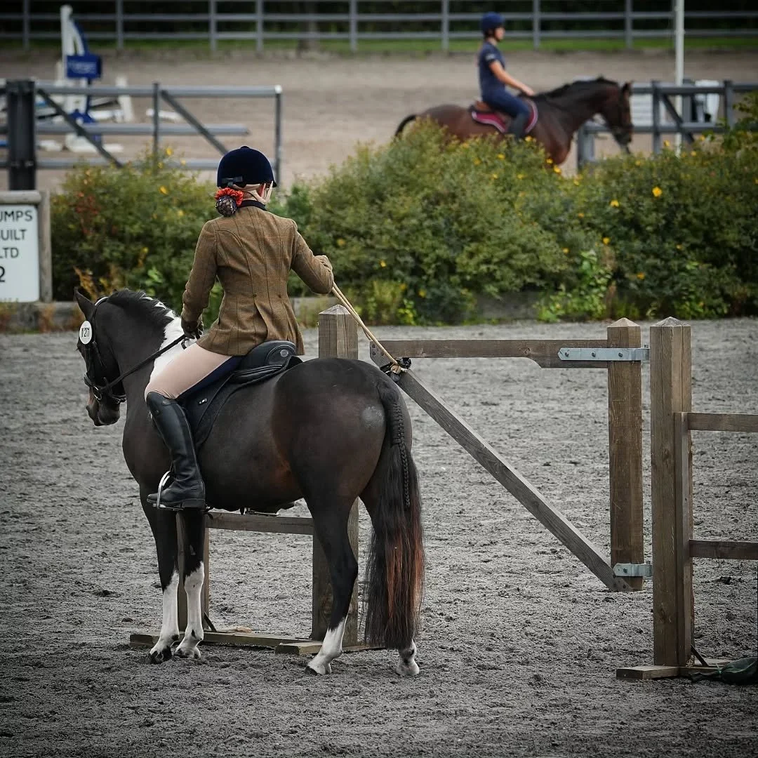 Many people get a little lost when they come into a WE clinic, a little overwhelmed by the idea of all these THINGS. That's without even taking into account what the horses might think!

So, where do I start? A brief idea of my thought process...

🔸